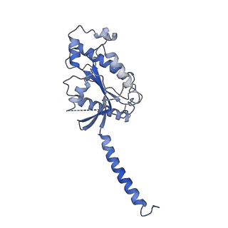 34833_8hj5_A_v1-1
Cryo-EM structure of Gq-coupled MRGPRX1 bound with Compound-16