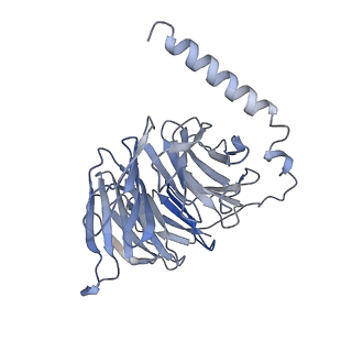 34833_8hj5_B_v1-1
Cryo-EM structure of Gq-coupled MRGPRX1 bound with Compound-16