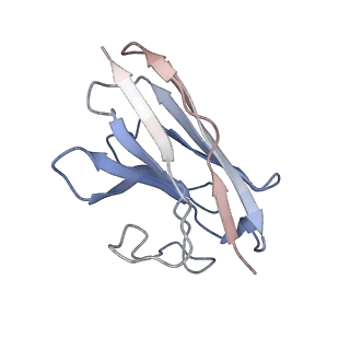 34833_8hj5_E_v1-1
Cryo-EM structure of Gq-coupled MRGPRX1 bound with Compound-16