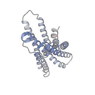 34833_8hj5_F_v1-1
Cryo-EM structure of Gq-coupled MRGPRX1 bound with Compound-16