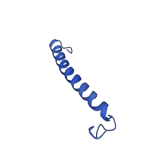 34838_8hju_0_v1-1
Cryo-EM structure of native RC-LH complex from Roseiflexus castenholzii at 10,000 lux