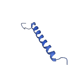 34838_8hju_5_v1-1
Cryo-EM structure of native RC-LH complex from Roseiflexus castenholzii at 10,000 lux
