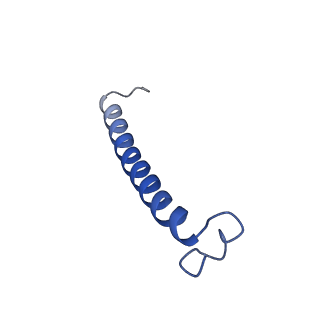 34838_8hju_6_v1-1
Cryo-EM structure of native RC-LH complex from Roseiflexus castenholzii at 10,000 lux