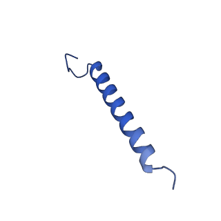 34838_8hju_7_v1-1
Cryo-EM structure of native RC-LH complex from Roseiflexus castenholzii at 10,000 lux