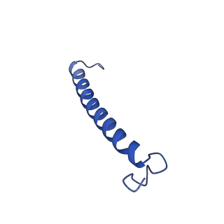 34838_8hju_8_v1-1
Cryo-EM structure of native RC-LH complex from Roseiflexus castenholzii at 10,000 lux