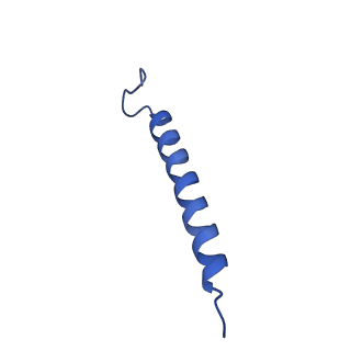 34838_8hju_A_v1-1
Cryo-EM structure of native RC-LH complex from Roseiflexus castenholzii at 10,000 lux