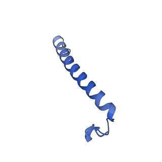 34838_8hju_B_v1-1
Cryo-EM structure of native RC-LH complex from Roseiflexus castenholzii at 10,000 lux