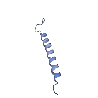 34838_8hju_D_v1-1
Cryo-EM structure of native RC-LH complex from Roseiflexus castenholzii at 10,000 lux