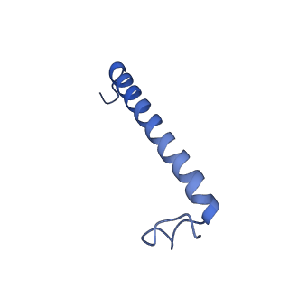 34838_8hju_G_v1-1
Cryo-EM structure of native RC-LH complex from Roseiflexus castenholzii at 10,000 lux