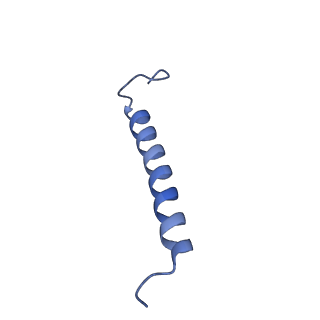 34838_8hju_H_v1-1
Cryo-EM structure of native RC-LH complex from Roseiflexus castenholzii at 10,000 lux