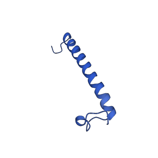 34838_8hju_I_v1-1
Cryo-EM structure of native RC-LH complex from Roseiflexus castenholzii at 10,000 lux
