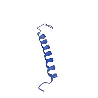 34838_8hju_J_v1-1
Cryo-EM structure of native RC-LH complex from Roseiflexus castenholzii at 10,000 lux