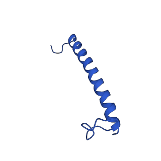 34838_8hju_K_v1-1
Cryo-EM structure of native RC-LH complex from Roseiflexus castenholzii at 10,000 lux