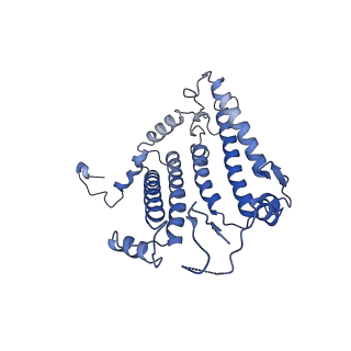 34838_8hju_L_v1-1
Cryo-EM structure of native RC-LH complex from Roseiflexus castenholzii at 10,000 lux