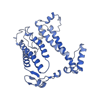 34838_8hju_M_v1-1
Cryo-EM structure of native RC-LH complex from Roseiflexus castenholzii at 10,000 lux