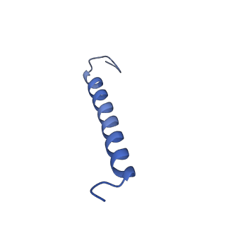 34838_8hju_N_v1-1
Cryo-EM structure of native RC-LH complex from Roseiflexus castenholzii at 10,000 lux
