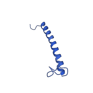 34838_8hju_O_v1-1
Cryo-EM structure of native RC-LH complex from Roseiflexus castenholzii at 10,000 lux