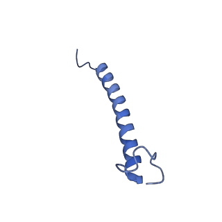 34838_8hju_S_v1-1
Cryo-EM structure of native RC-LH complex from Roseiflexus castenholzii at 10,000 lux