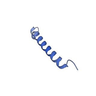 34838_8hju_V_v1-1
Cryo-EM structure of native RC-LH complex from Roseiflexus castenholzii at 10,000 lux