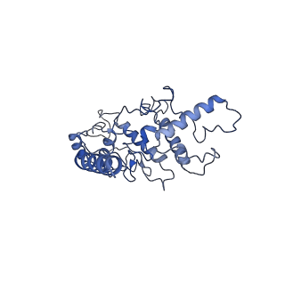 34839_8hjv_C_v1-1
Cryo-EM structure of carotenoid-depleted RC-LH complex from Roseiflexus castenholzii at 10,000 lux