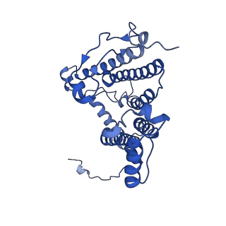 34839_8hjv_M_v1-1
Cryo-EM structure of carotenoid-depleted RC-LH complex from Roseiflexus castenholzii at 10,000 lux
