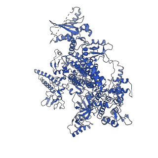 0238_6hko_A_v1-1
Yeast RNA polymerase I elongation complex bound to nucleotide analog GMPCPP