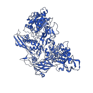 0238_6hko_B_v1-1
Yeast RNA polymerase I elongation complex bound to nucleotide analog GMPCPP