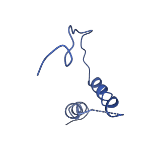 0238_6hko_D_v1-1
Yeast RNA polymerase I elongation complex bound to nucleotide analog GMPCPP