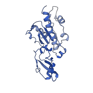 0238_6hko_E_v1-1
Yeast RNA polymerase I elongation complex bound to nucleotide analog GMPCPP