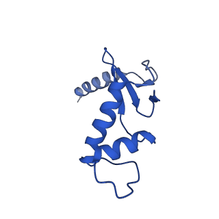 0238_6hko_F_v1-1
Yeast RNA polymerase I elongation complex bound to nucleotide analog GMPCPP