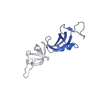 0238_6hko_G_v1-1
Yeast RNA polymerase I elongation complex bound to nucleotide analog GMPCPP