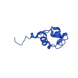 0238_6hko_J_v1-1
Yeast RNA polymerase I elongation complex bound to nucleotide analog GMPCPP
