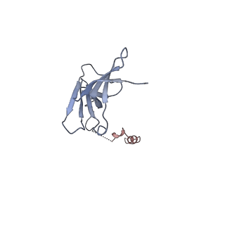 0238_6hko_M_v1-1
Yeast RNA polymerase I elongation complex bound to nucleotide analog GMPCPP