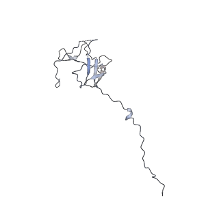 0238_6hko_N_v1-1
Yeast RNA polymerase I elongation complex bound to nucleotide analog GMPCPP