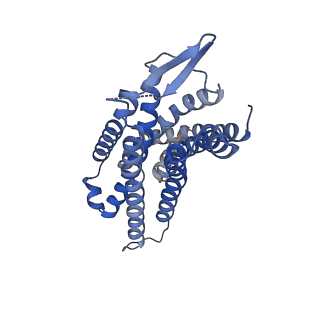 34842_8hk2_A_v1-2
C3aR-Gi-C3a protein complex