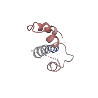 34842_8hk2_D_v1-2
C3aR-Gi-C3a protein complex