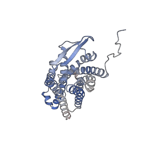 34846_8hk5_A_v1-2
C5aR1-Gi-C5a protein complex