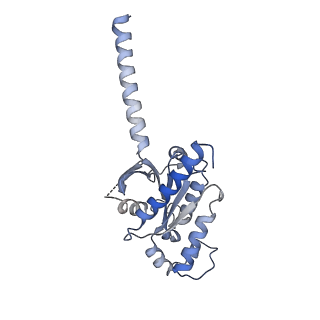 34846_8hk5_C_v1-2
C5aR1-Gi-C5a protein complex
