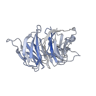34846_8hk5_D_v1-2
C5aR1-Gi-C5a protein complex