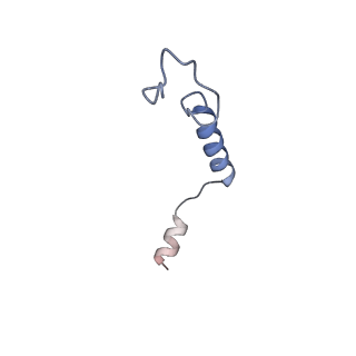 34846_8hk5_G_v1-2
C5aR1-Gi-C5a protein complex
