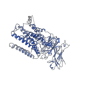 34850_8hke_A_v1-0
dsRNA transporter