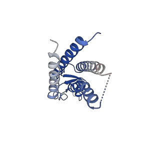 34856_8hkp_H_v1-1
Structurally hetero-junctional human Cx36/GJD2 gap junction channel in detergents (C6 symmetry)