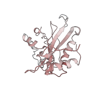 34860_8hku_AL1P_v1-0
Cryo-EM Structures and Translocation Mechanism of Crenarchaeota Ribosome