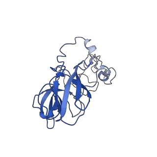 34860_8hku_AL2P_v1-0
Cryo-EM Structures and Translocation Mechanism of Crenarchaeota Ribosome