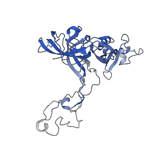 34860_8hku_AL3P_v1-0
Cryo-EM Structures and Translocation Mechanism of Crenarchaeota Ribosome