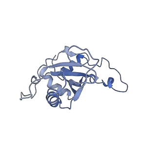34860_8hku_AL5P_v1-0
Cryo-EM Structures and Translocation Mechanism of Crenarchaeota Ribosome