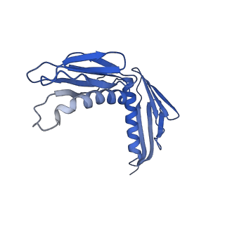 34860_8hku_AL6P_v1-0
Cryo-EM Structures and Translocation Mechanism of Crenarchaeota Ribosome