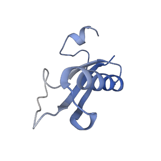 34860_8hku_ALX0_v1-0
Cryo-EM Structures and Translocation Mechanism of Crenarchaeota Ribosome