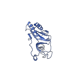 34860_8hku_L10E_v1-0
Cryo-EM Structures and Translocation Mechanism of Crenarchaeota Ribosome
