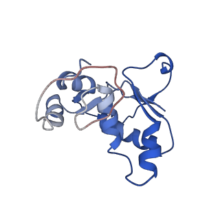 34860_8hku_L13P_v1-0
Cryo-EM Structures and Translocation Mechanism of Crenarchaeota Ribosome